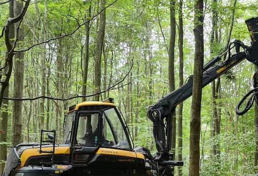 En skovmaskine udfører skovdrift ved rydning af skov