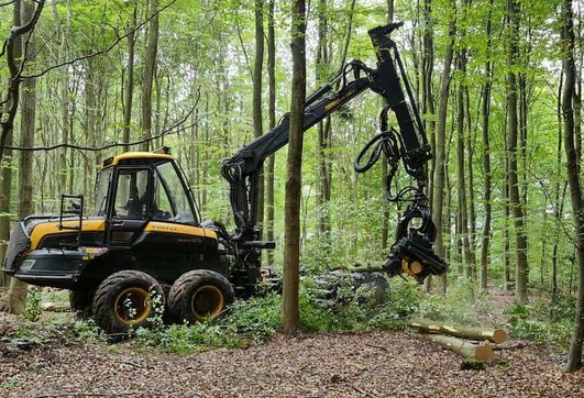 En skovmaskine udfører skovdrift ved rydning af skov